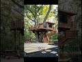 The Treehouse We All Dreamed of as Kids