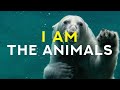 I AM the animals