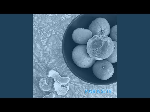 Cell Rot — Nothing's Coming