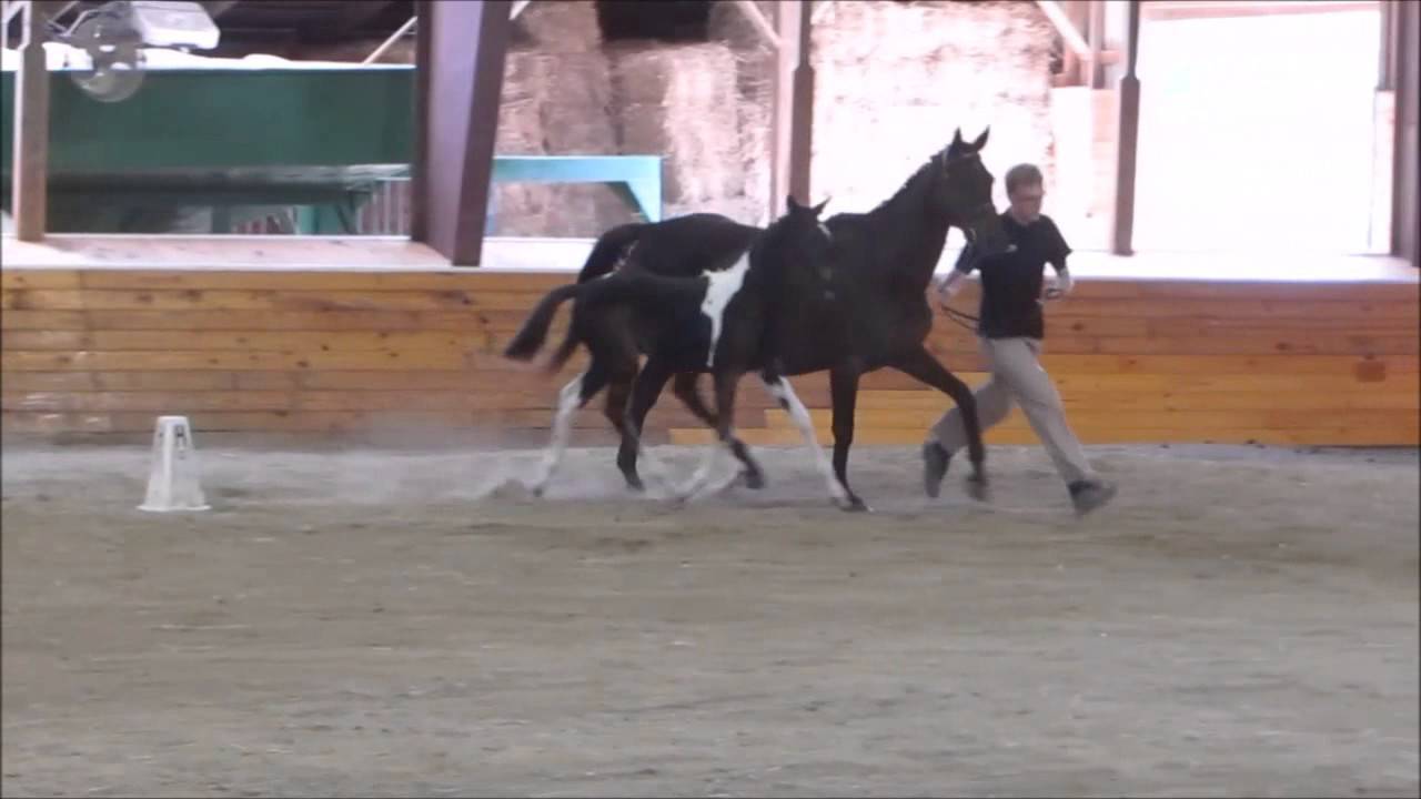 Sirius EMP Inspection