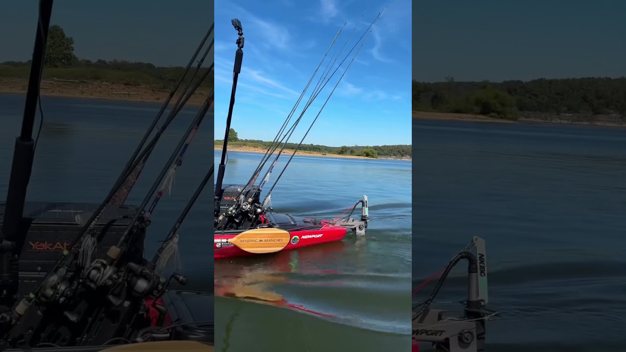 jUsT bUy A bOaT?¿! We respectfully pass.. 