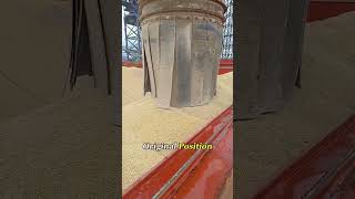 Why Ships Fear Grain Cargo#CargoShip #Ship #Maritime #Knowledge