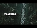 Lle o lon traquait les arabes zanzibar  les socialismes tanzaniens