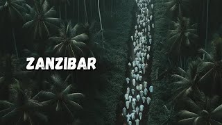 L'île où l'on traquait les Arabes (Zanzibar + les socialismes tanzaniens)