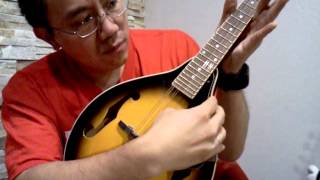 mandolin hacked for uke players! so easy! tune gcea and mandolin = ukulele!