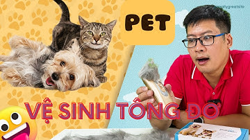 Tông đơ cắt lông chó đáng mua nhất và cách vệ sinh tông đơ | Quang 3S