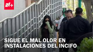 "Te da asco": Vecinos denuncian olores fétidos persistentes en el INCIFO de la CDMX