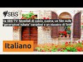 Su SBS TV: Mondiali di calcio, cucina, un film sulle "generazioni rubate" canadesi e un classico...
