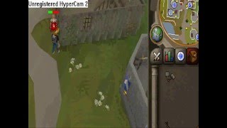 Runescape barrows bug