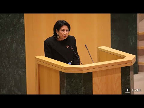 სალომე ზურაბიშვილის პოლიტიკური გეგმები