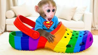 꼬마 원숭이 GoGo가 신비한 알을 발견해서 새로운 동물 친구를 부화시켰어요! - Gogo Monkey Aventure