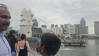 Merlion  in  Singapore Day 4