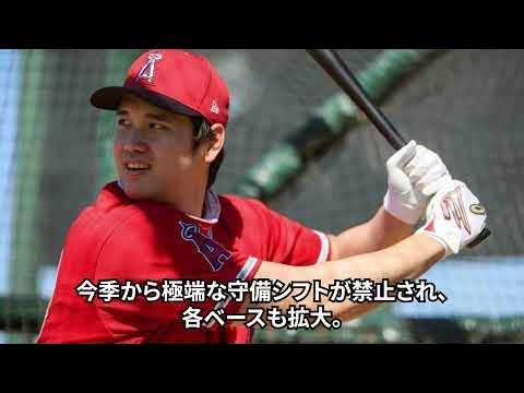 スポーツ　