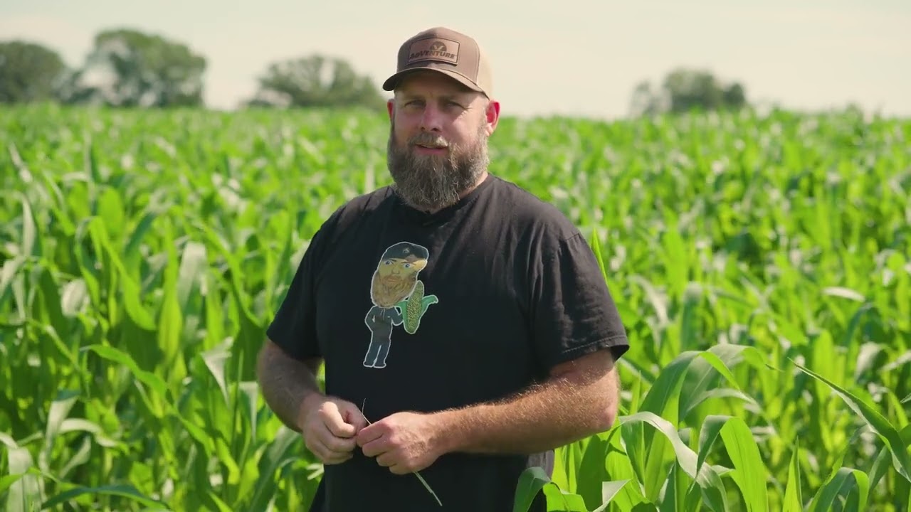 Russell Hedrick & David Kleinschmidt - Microbial Activity, Carbon/Nitrogen Ratios and Nutrients