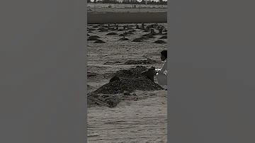 ما نسيتك يا عجب عيني دقيقه 