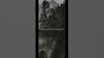 القارئ عبدالعزيز القرني