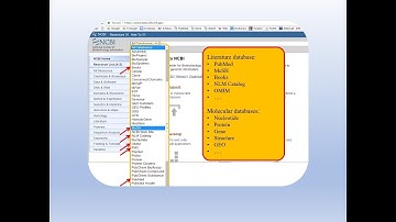Bioinf Class 2A, Overview of NCBI databases