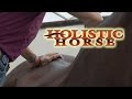 Holistic horse trailer