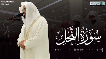 صلاة العشاء للشيخ ناصر القطامي - ما تيسر من سورة النحل - الأربعاء 4 صفر 1444هـ