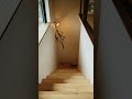 階段スペースに漆喰を塗ったら【漆喰DIY】