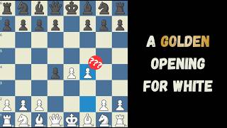 Use This Golden Opening For White | The Halasz Opening