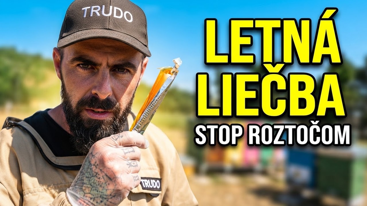 Boj o prežitie včiel, začína najdôležitejšia etapa po sezóne 🐝