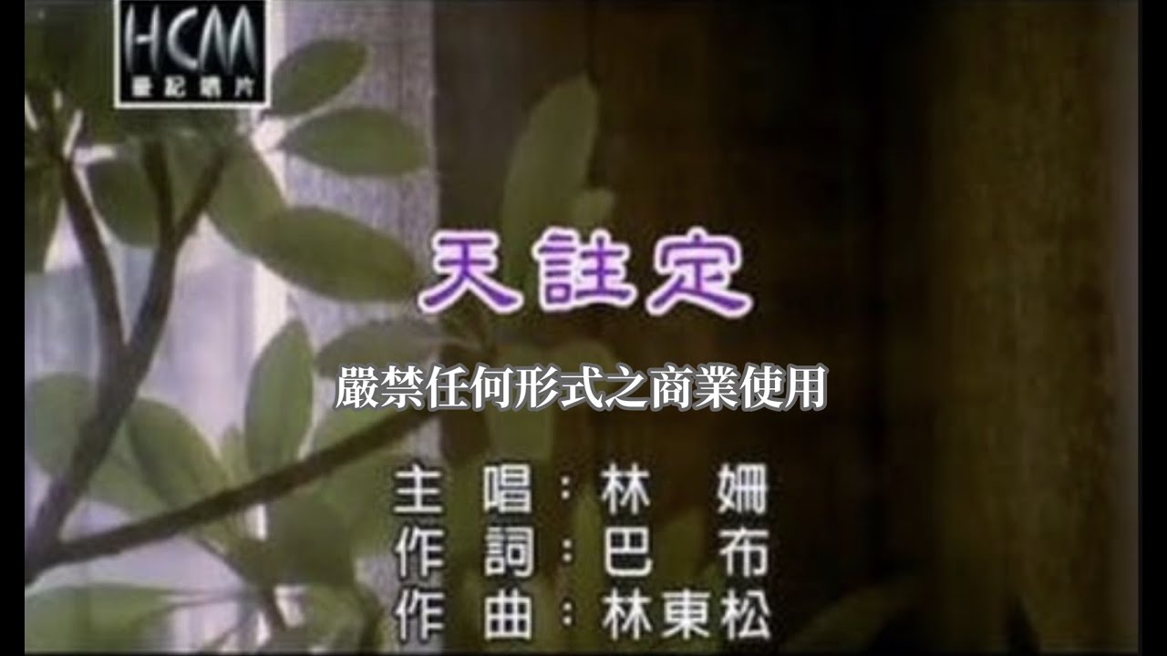 林姍-天註定【KTV導唱字幕】