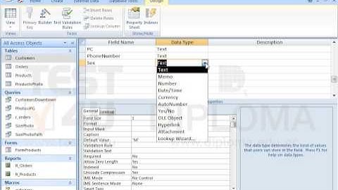 Insert one more field named Sex at the end of the Customers table that will allow only one of...