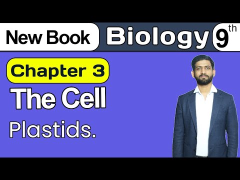 Plastids