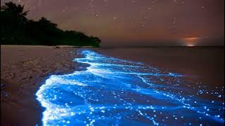 Blank & Jones Glow (Extended)