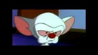 Pinky and the Brain Techno Remix - DJ Fire