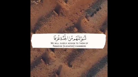 حالات واتس، قران كريم، كل نفس ذائقه الموت، بصوت اسلام صبحي