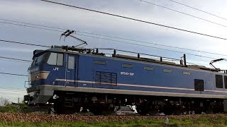 EF510-507牽引高速貨物3093レ 福岡→新潟