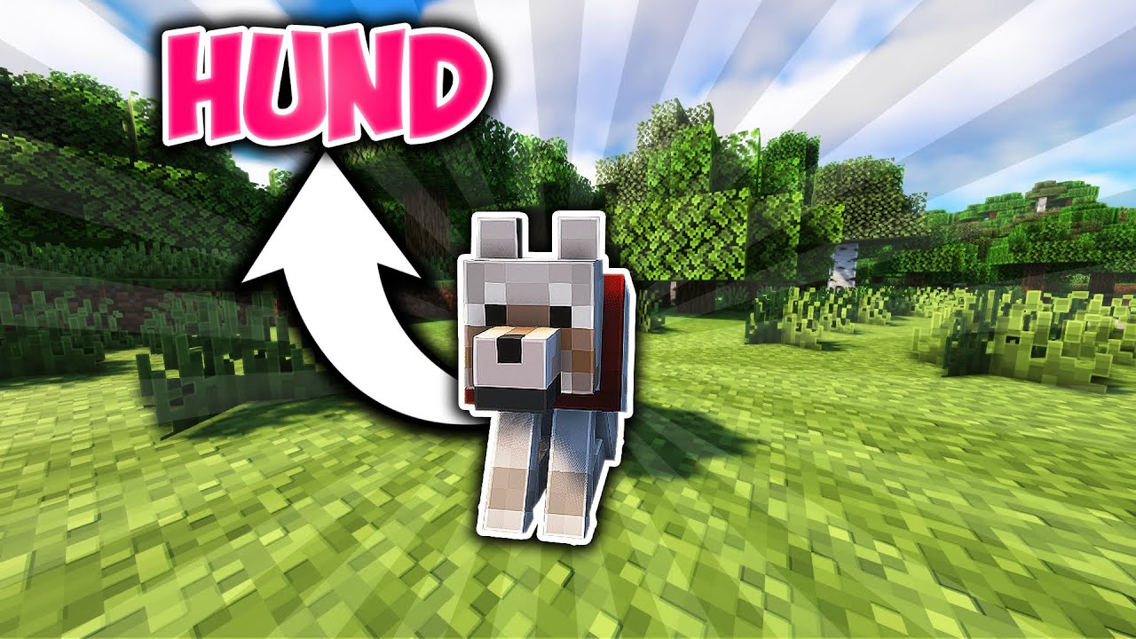 Wolf zähmen und züchten (Minecraft Wolf Guide 1.21)