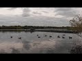 London Brent Reservoir (Aerial views)