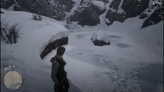 Red Dead2 NorthWest Guitar?