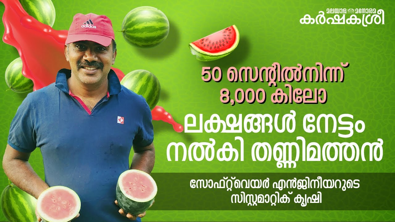 50 സെന്റിൽനിന്ന് 8,000 കിലോ; ലക്ഷങ്ങൾ നേട്ടം നൽകി തണ്ണിമത്തൻ: സോഫ്റ്റ്‌വെയർ എൻജിനീയറുടെ കൃഷി
