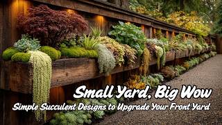 видео: Маленький двор, большой восторг: простые суккулентные дизайны для обновления вашего двора 🌵 картинка: Маленький двор, большой восторг: простые суккулентные дизайны для обновления вашего двора 🌵
