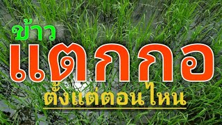 กข.41 ตอบคำถาม 