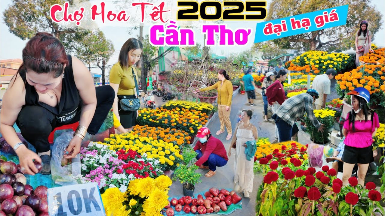 Ế Thê Thảm Chợ hoa tết cần thơ 2025 hạ giá các loại hoa kiểng mà vắng bóng người mua