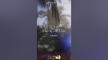 علي مجدي.  تلاوة  من سورة هود
