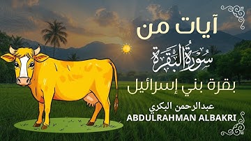 تلاوة هادئة بصوت القارئ |عبد الرحمن البكري🌹🌹آيات قصة بقرة بني إسرائيل {وإذ قال موسى لقومه..}#اكسبلور