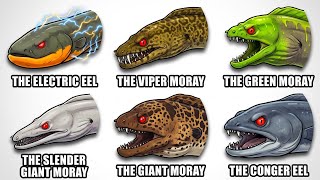 Every TYPE Of Most Dangerous EEL In The World Explained 