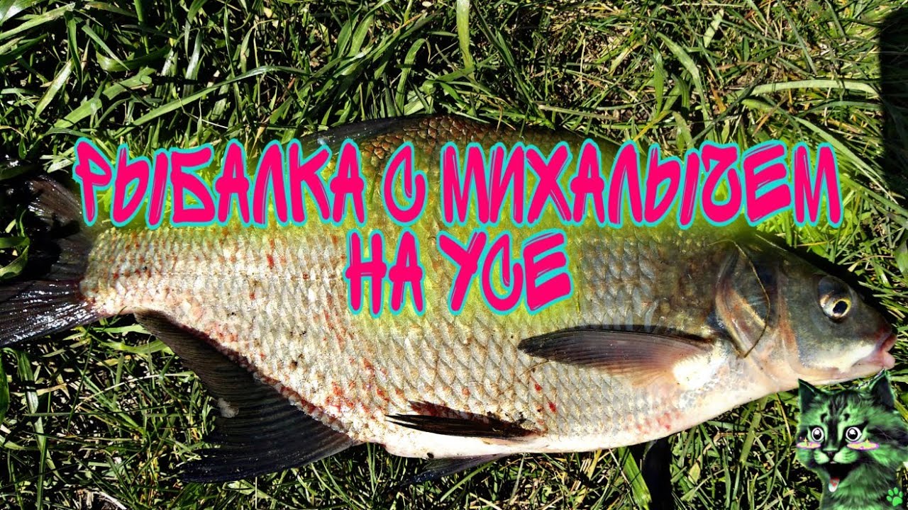 Рыбалка с Михалычем на реке Уса