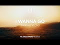 Shiek  i wanna go feat vlcno