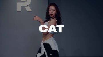 Colde 콜드 - 묘 (Cat)  l MUZE choreography