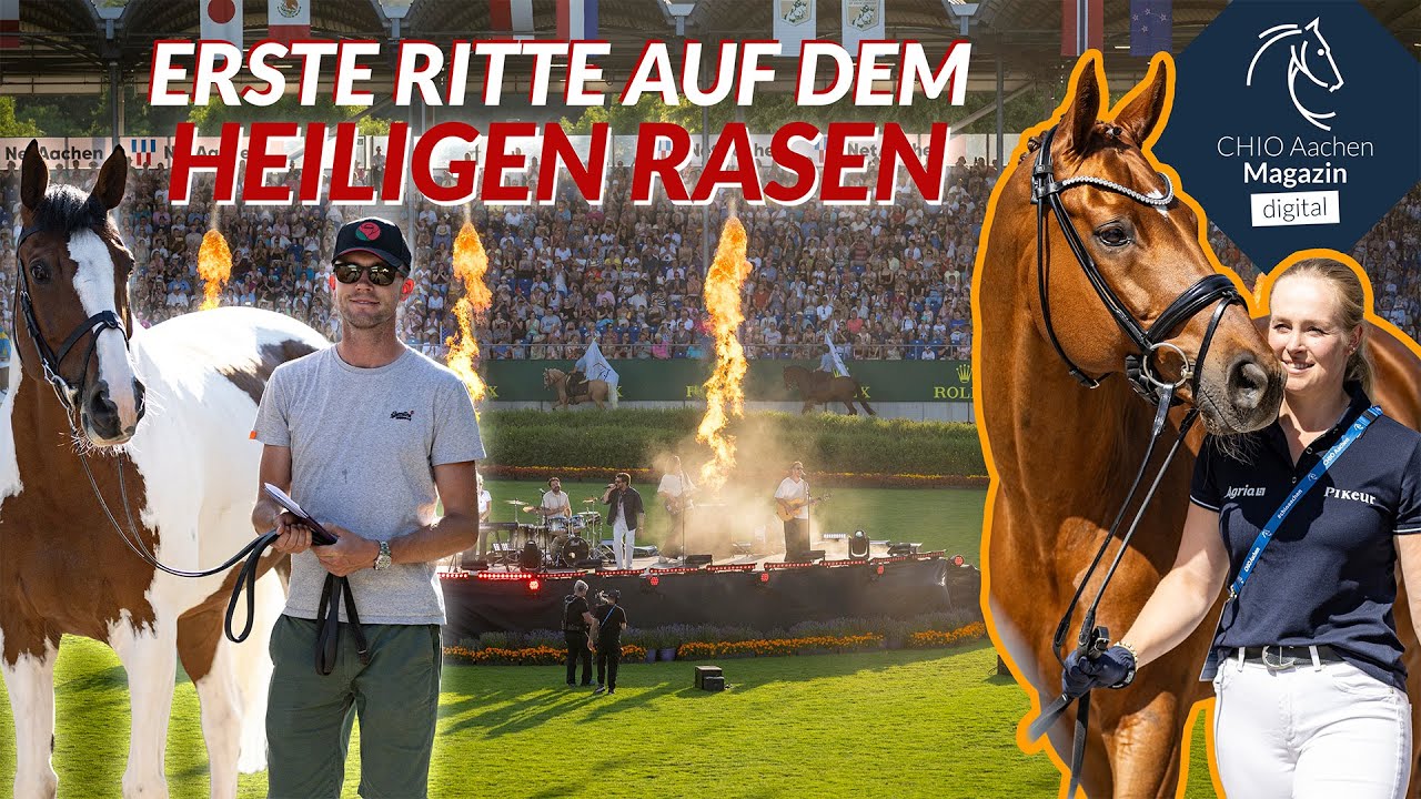 Neues Top-Pferd für Gerrit Nieberg! 😍 Dressur-Training mit Katha Hemmer & Denoix ✨ Hola España!