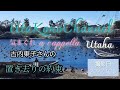 4.〖気まぐれ a cappella~Utaha~〗#3古内東子さんの『置き去りの約束』歌いました!