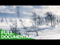 Russia's Icy Northern Sea Coast | Free Documentary Nature