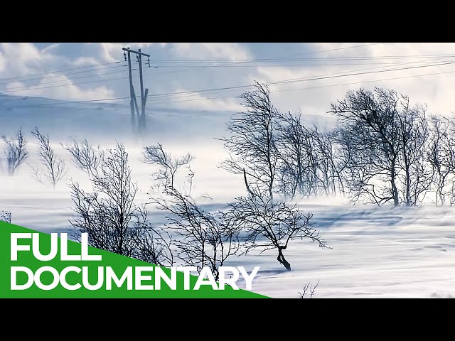 BREEZELESS - Northern Sea Coast